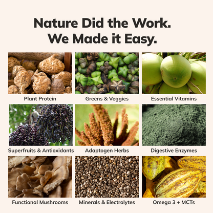 Ka’Chava Whole Body Meal Shake Chocolate